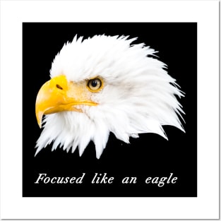 Bald eagle Posters and Art